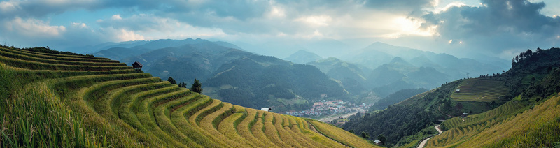 agriculture-1822442_1920_800