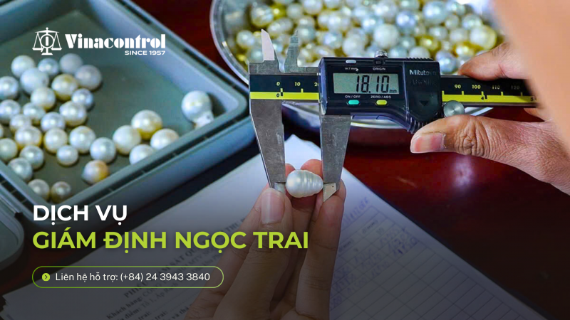 dich_vu_giam_dinh_ngoc_trai_vinacontrol_800