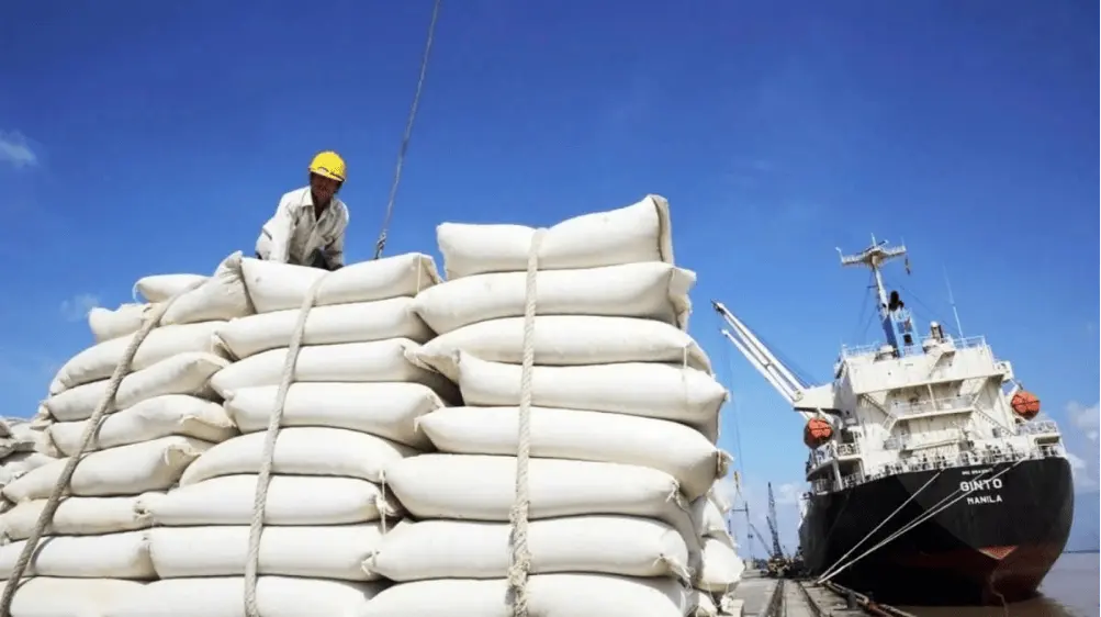 Giá gạo xuất khẩu của Việt Nam tăng cao